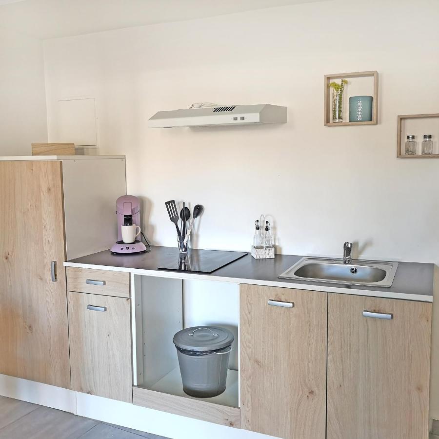 Appartement Avec Jardin - Centre Castelnaudary Dış mekan fotoğraf
